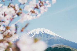 空と富士山と桜