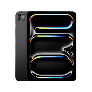 iPad Pro 11 (第5世代) M4の高価買取ならりんご堂整備店 ネット 郵送